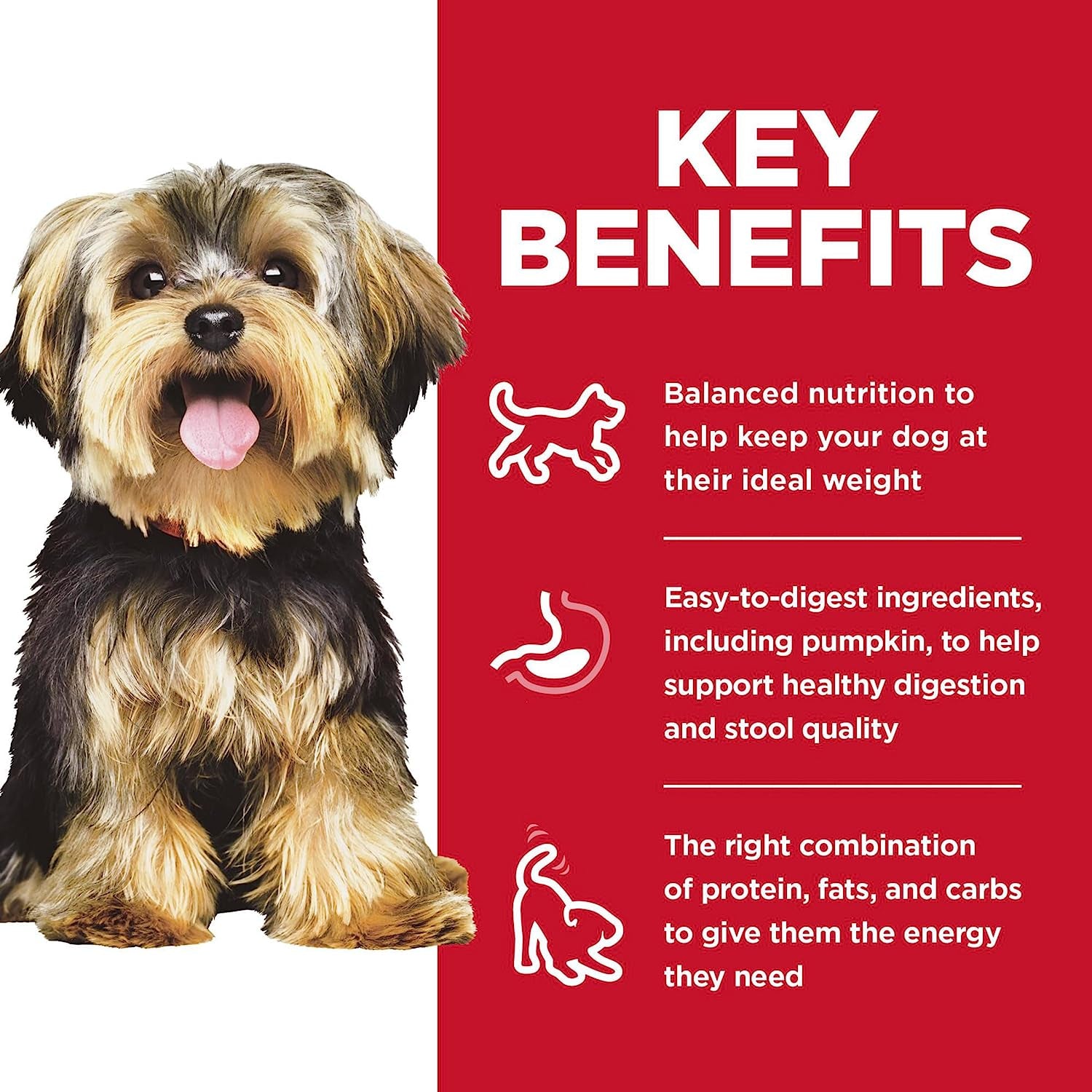 Adult Small Paws, Chicken Meal, Barley & Brown Rice Recipe, Dry Dog Food for Small & Toy Breed Dogs, 7.03Kg Bag - Paws and Pats