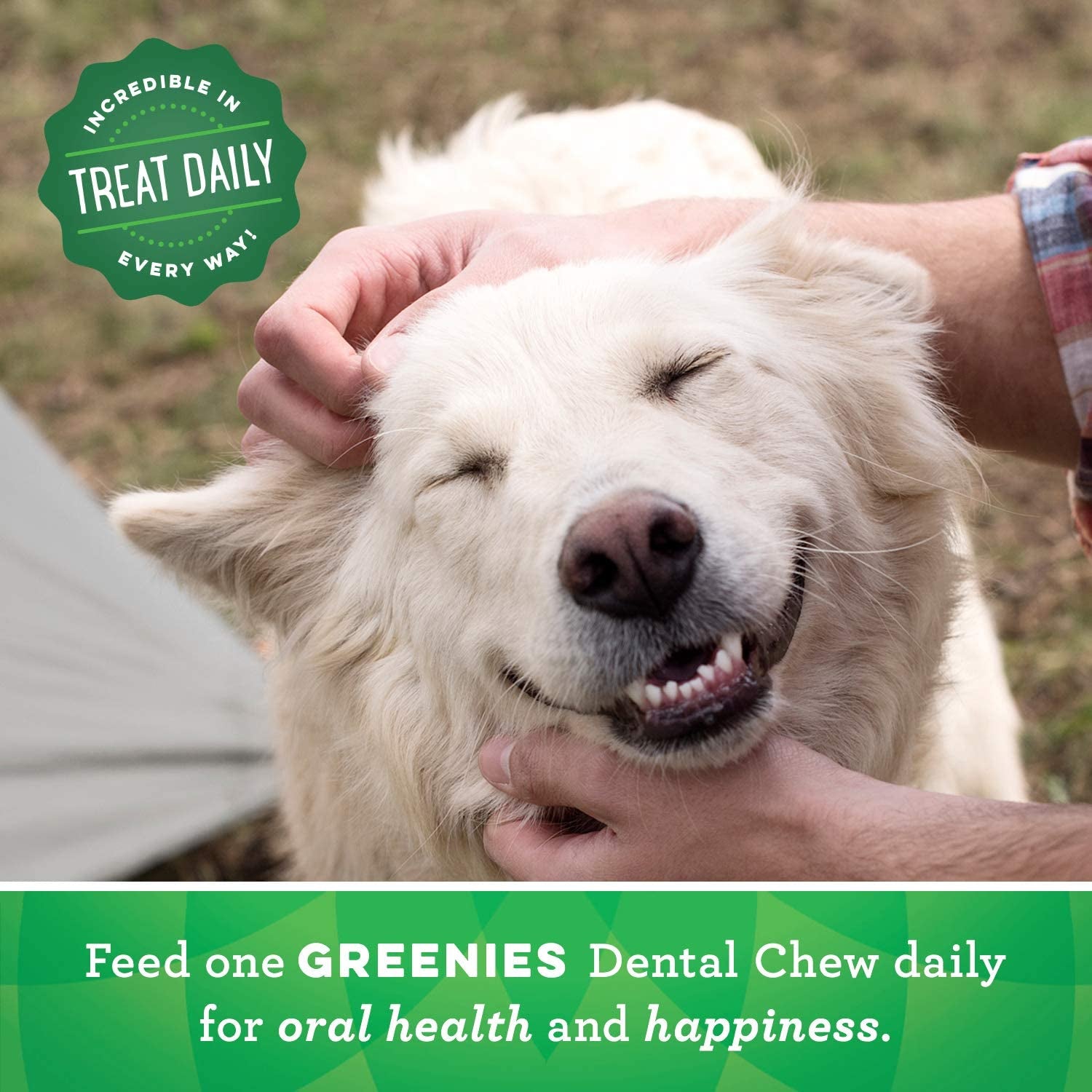 Canine Dental Dog Treats Original Large 24 Chews Value Pack 1.02Kg - Paws and Pats