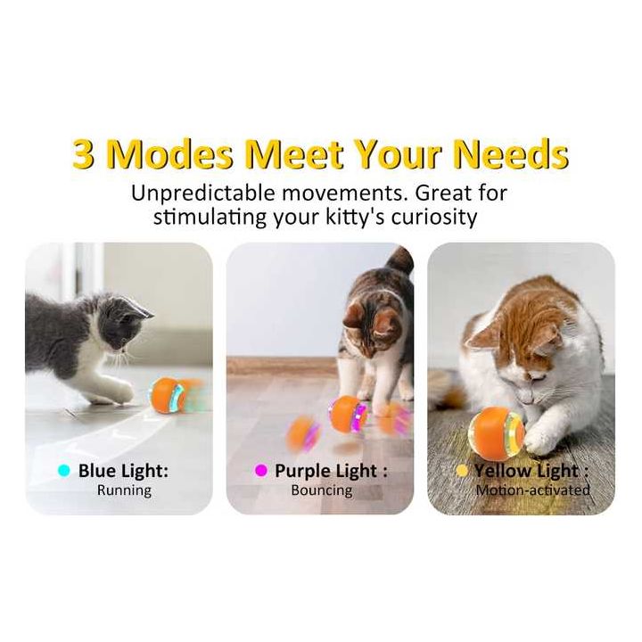 Interactive Electric Cat Toy Ball – Rechargeable Smart Rolling Pet Ball - Paws and PatsPet Care > Toys > Cat Toys
