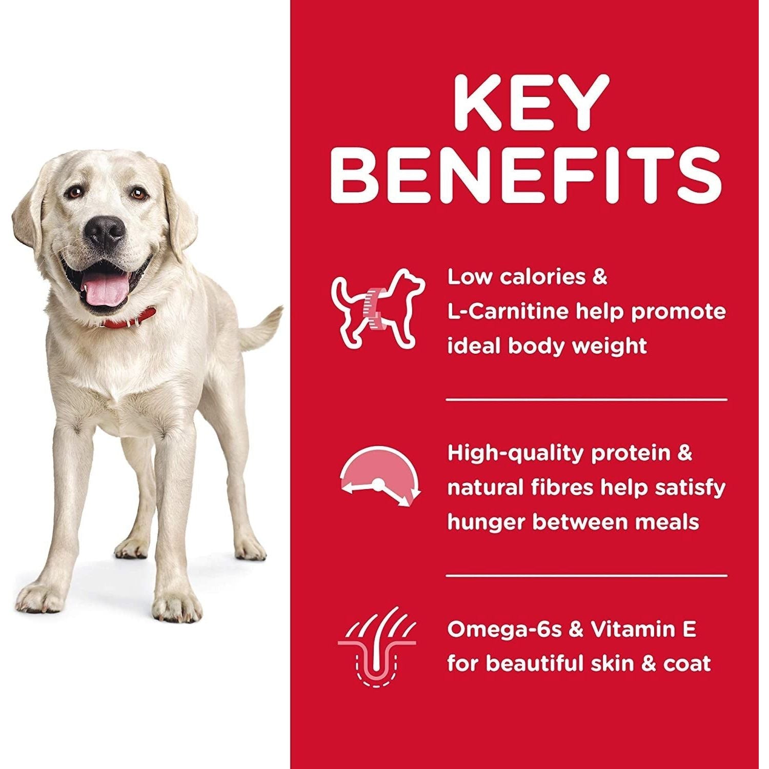 Light Adult Large Breed,Chicken Meal and Barley Recipe, Low Calorie Dry Dog Food for Healthy Weight and Management, 12Kg Bag - Paws and Pats