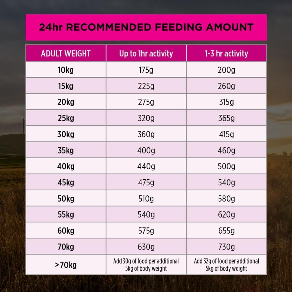 PRO PLAN Adult Dry Dog Food Medium and Large Breeds Salmon and Mackerel 12Kg - Paws and Pats
