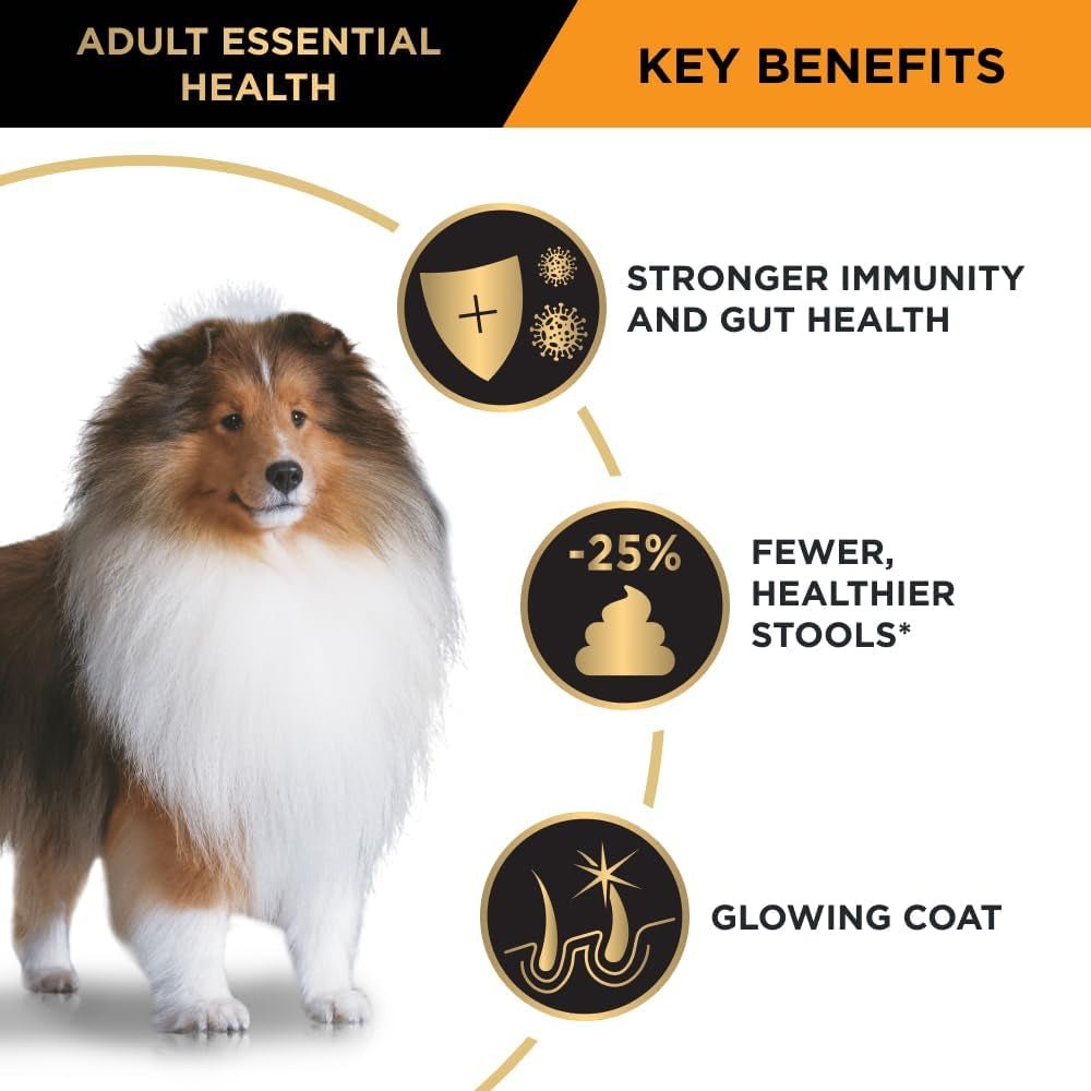 PRO PLAN Adult Dry Dog Food Medium Breed Chicken 15Kg - Paws and Pats