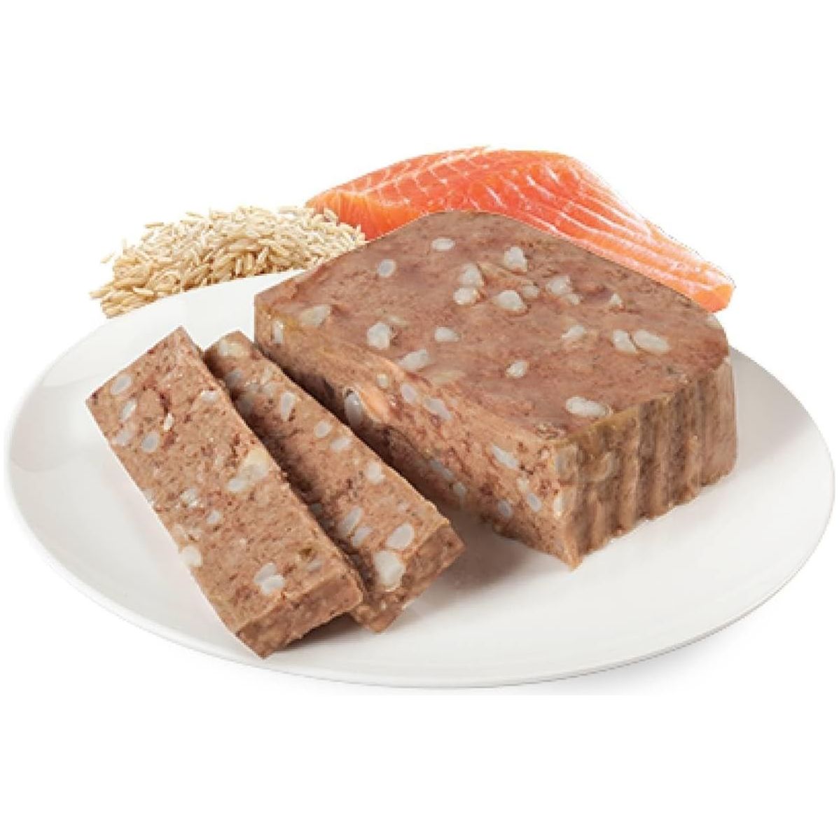 Salmon and Rice Wet Dog Food 100 G (Pack of 6) - Paws and Pats