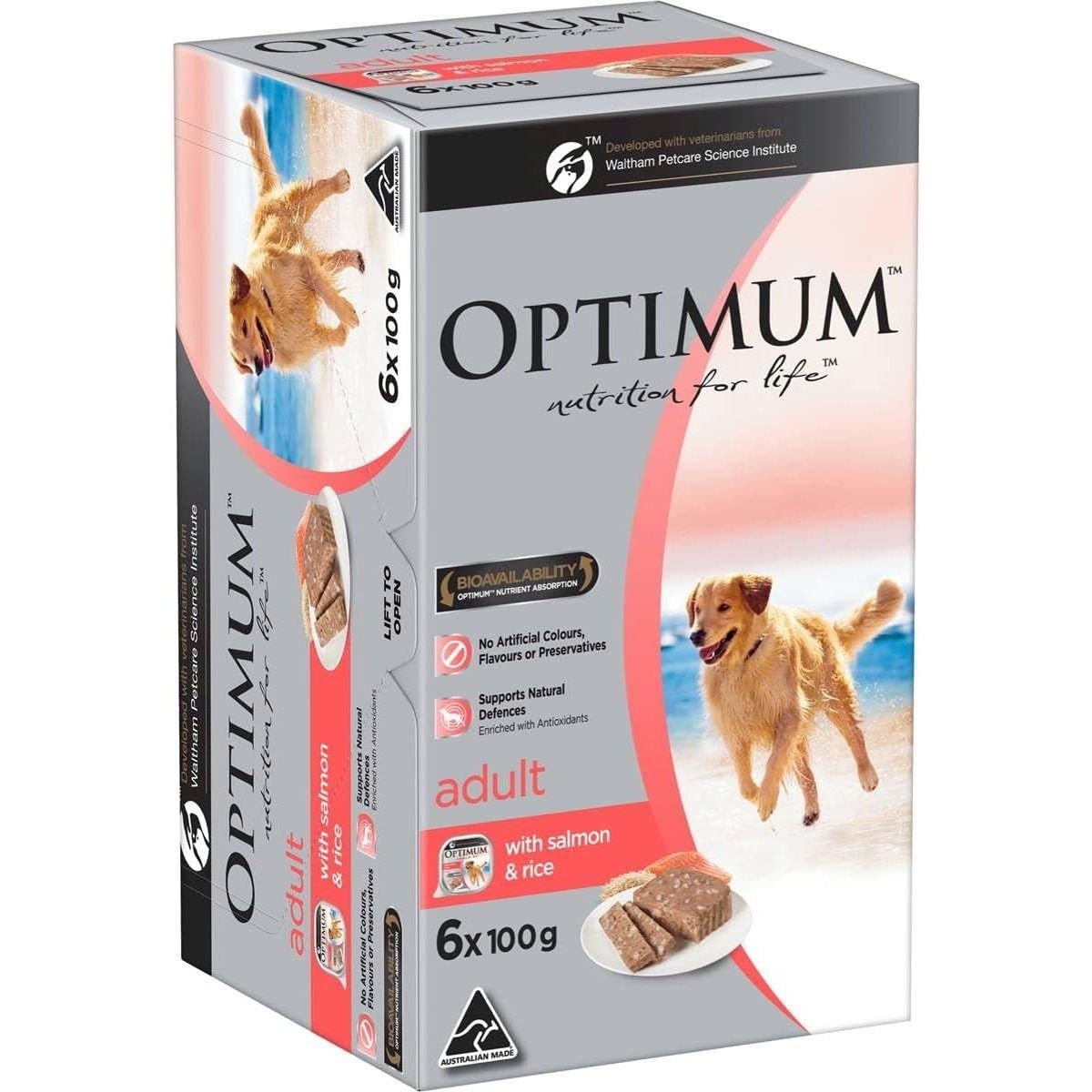 Salmon and Rice Wet Dog Food 100 G (Pack of 6) - Paws and Pats