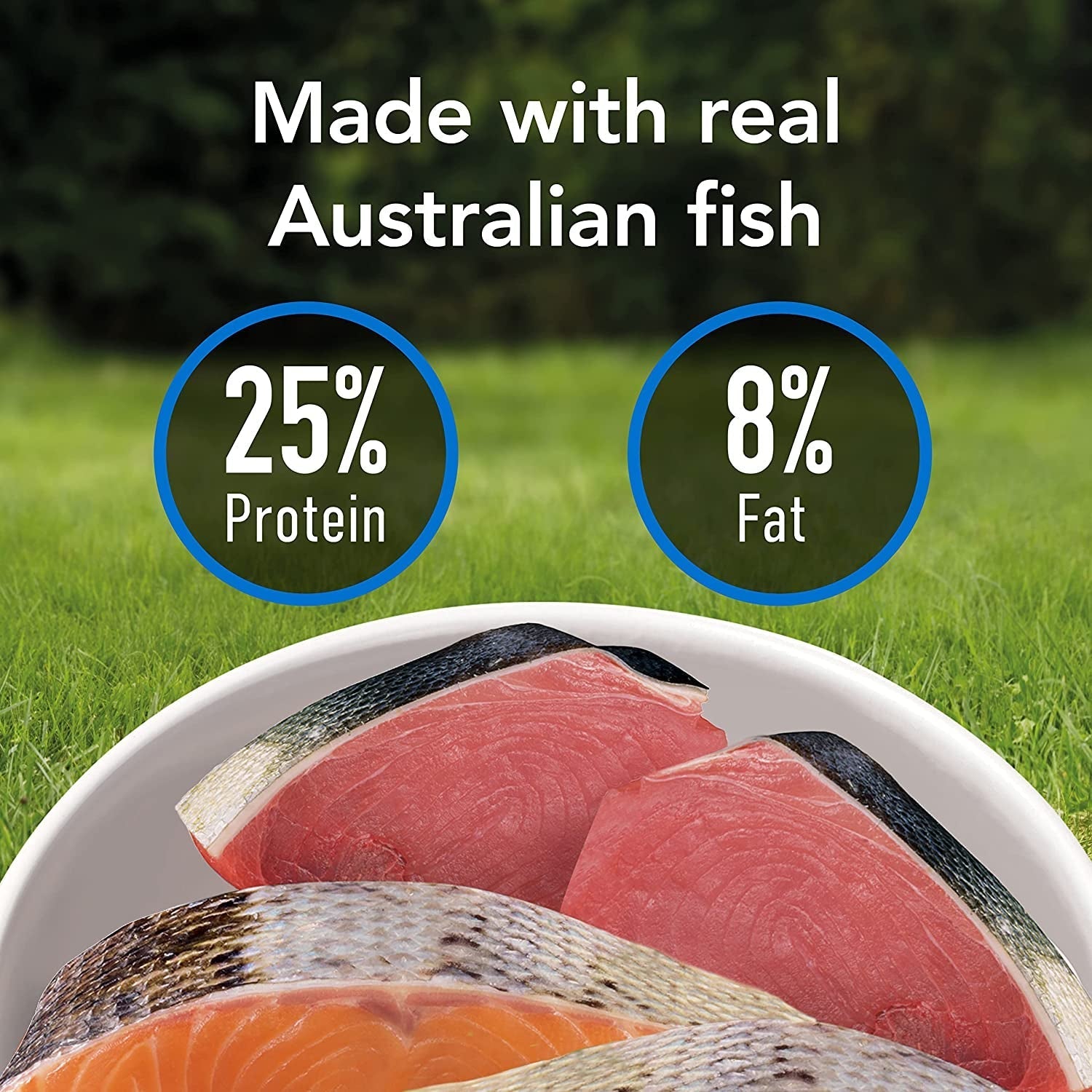 SMARTBLEND Senior Dry Dog Food Fish 2.6Kg - Paws and Pats