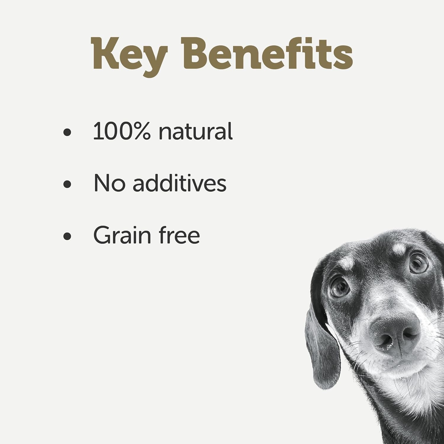 Taste Toppers 100% Natural Wet Dog Food Chicken Breast with Lamb in Gravy Tin 156G (Pack of 16), Limited Ingredients Pet Food - Paws and Pats