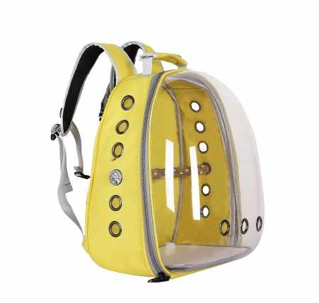 Teal Stylish Transparent PVC Pet Carrier Backpack - Large Capacity, Multi - Use for Birds & Cats(Including Wooden Stick) - Paws and PatsPet Care > Bird > Bird Cages & Stands