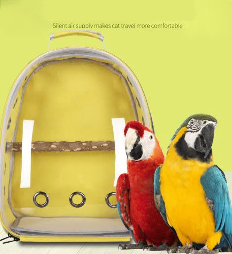 Teal Stylish Transparent PVC Pet Carrier Backpack - Large Capacity, Multi - Use for Birds & Cats(Including Wooden Stick) - Paws and PatsPet Care > Bird > Bird Cages & Stands